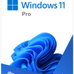 Windows 11 Pro Key (Download)